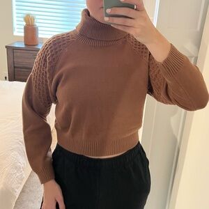 BB Dakota Cropped Turtleneck Sweater